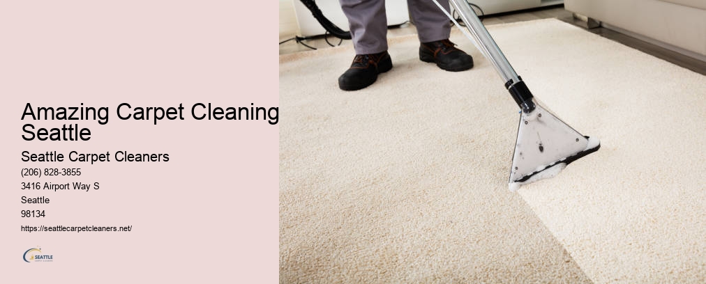 Seattle Carpet Cleaners