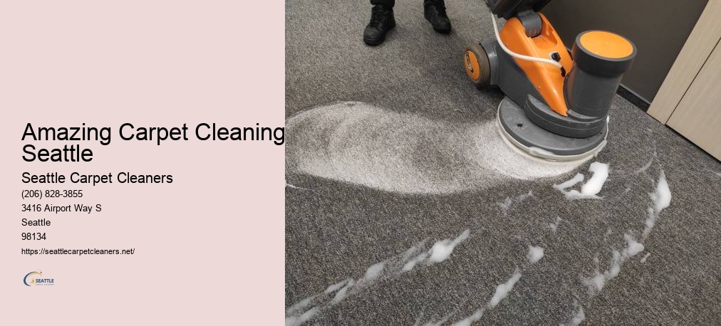 Shoreline Carpet Cleaning