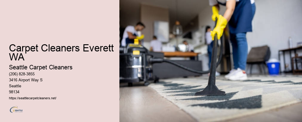 Seattle Odor Removal