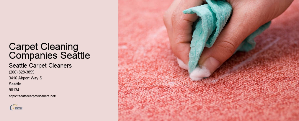 Seattle Rug Cleaning