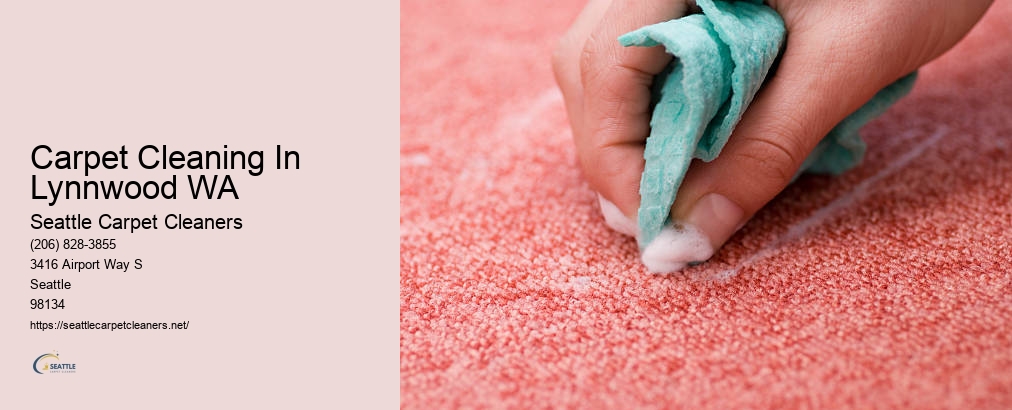 Carpet Cleaning Seattle Washington