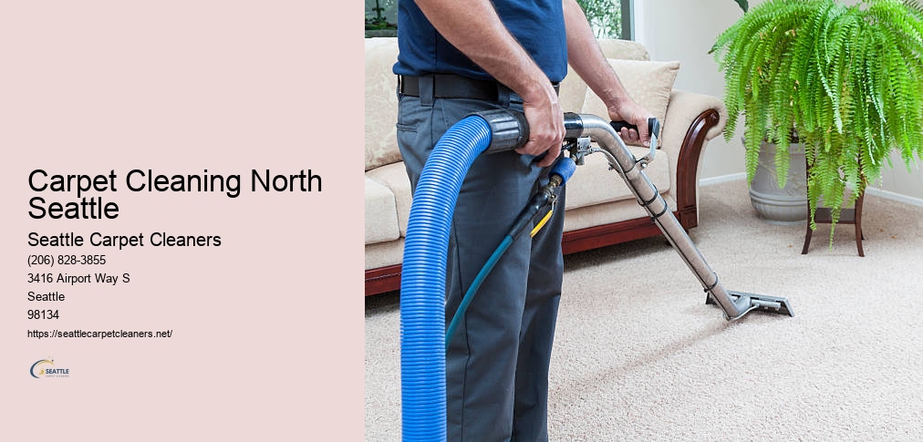 Carpet Cleaning Seattle Washington