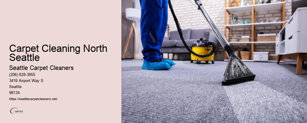 Professional Carpet Cleaners Seattle WA