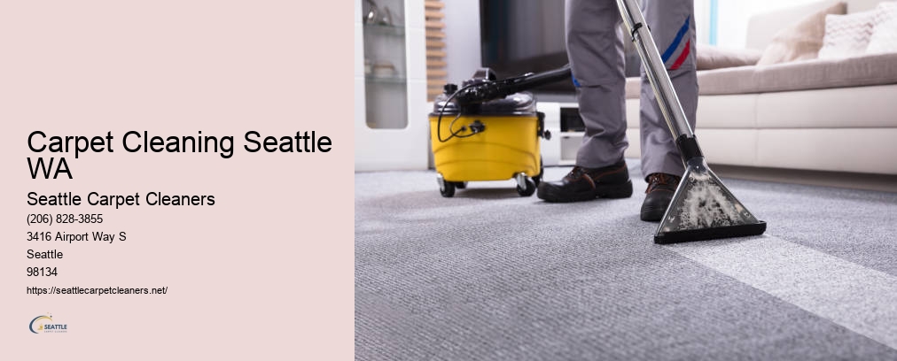 Seattle Carpet Cleaners