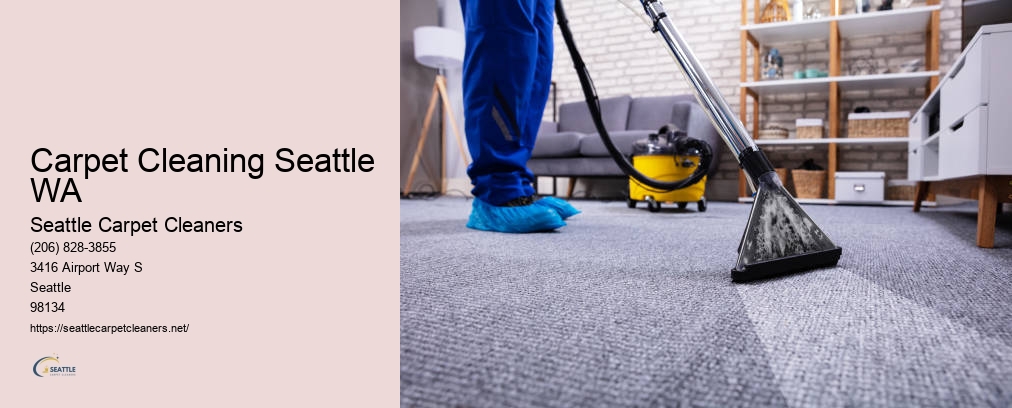 Rug Cleaning Seattle