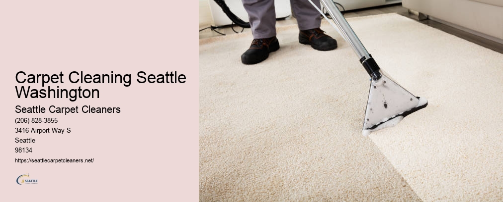 Amazing Carpet Cleaning Seattle
