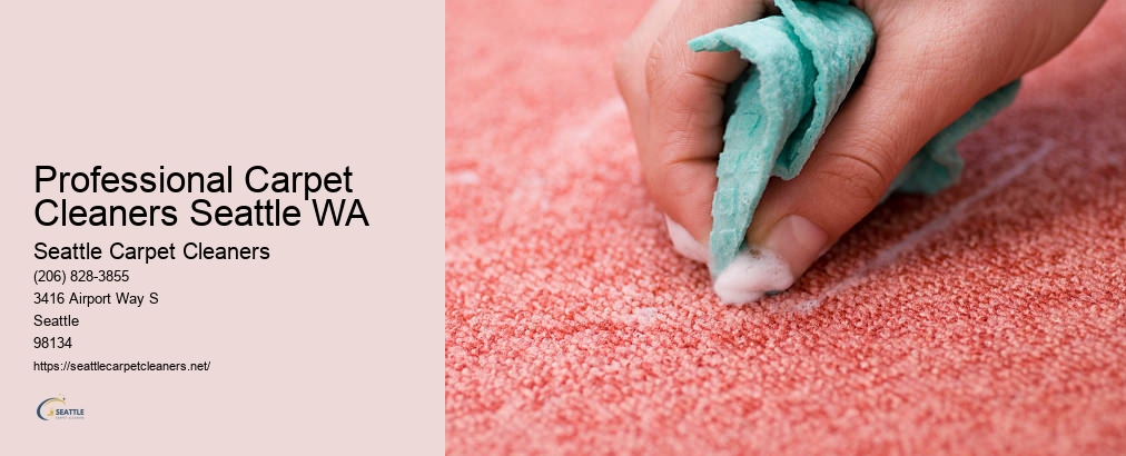 Seattle Carpet Cleaning