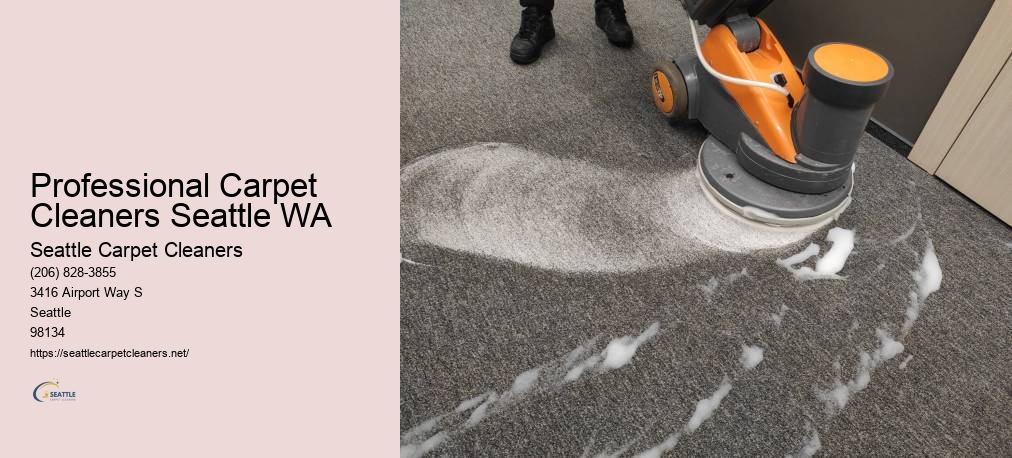Carpet Cleaning Companies Seattle