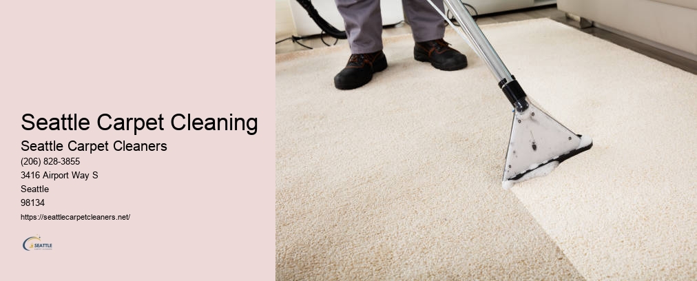 Seattle Professional Carpet Cleaning