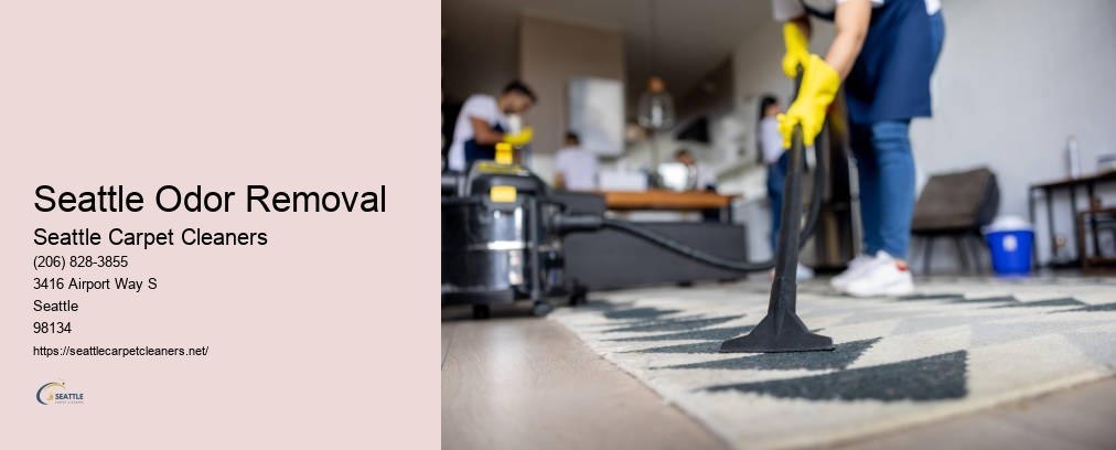 Seattle Carpet Cleaners