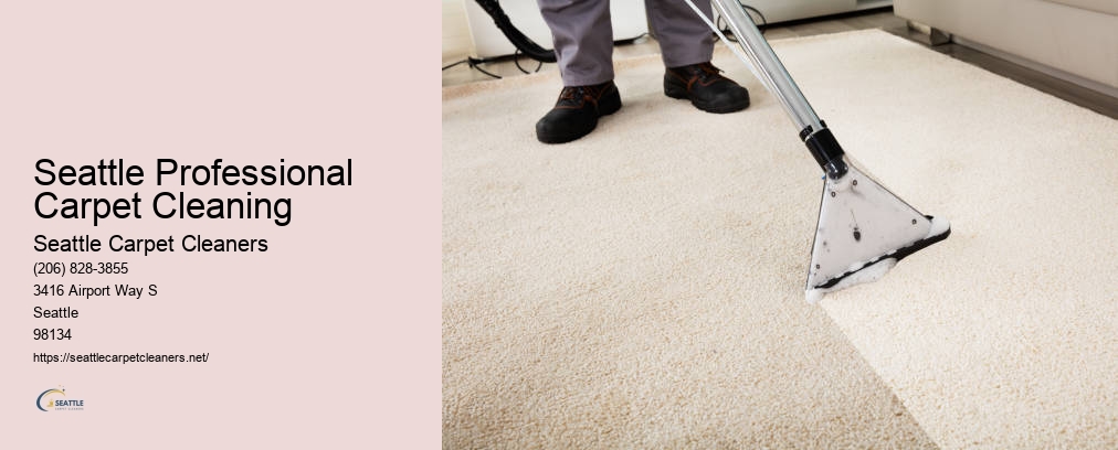 Carpet Cleaners Everett WA