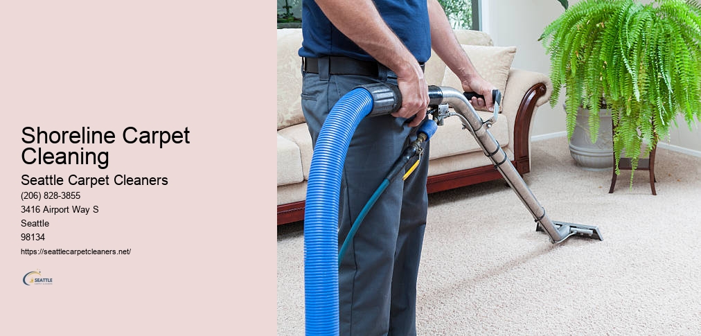Carpet Cleaning North Seattle